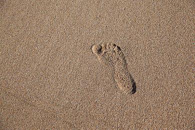 《塞尔达传说：王国之泪》周边“心之容器”外观装饰灯